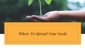 Where to spread your seeds