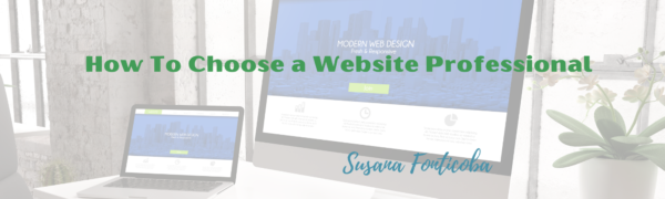 how to choose a website professional